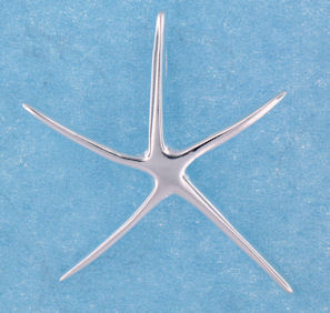 Fish Pendant ENLARGED