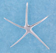 sterling silver starfish pendant