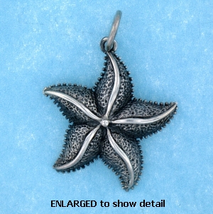 model ABC517 starfish pendant enlarged view