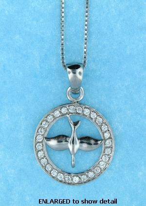 ENLARGED view of AP0124