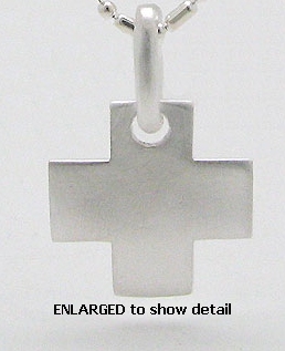 ENLARGED view of AP21 pendant