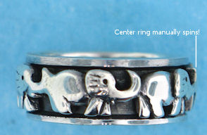 AR0041 spinning ring