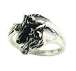 model WHR79 Horse Ring