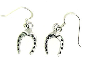 model WLHE1064 earrings enlarged view