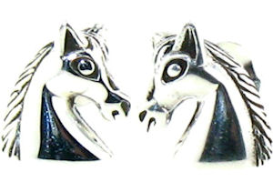 model WLHE518 earrings enlarged view