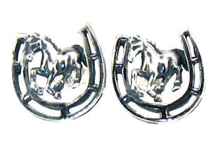 model WLHE991 earrings enlarged view