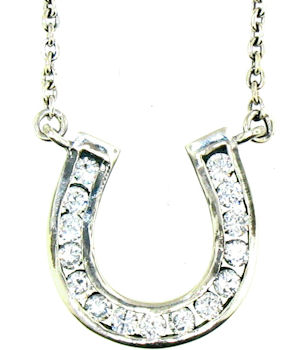 WLNK89 Horseshoe Pendant ENLARGED